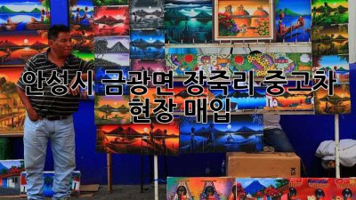 안성시 금광면 장죽리 중고차 현장 매입
