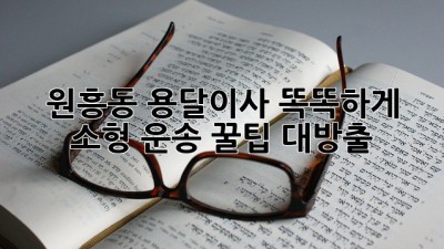 원흥동 용달이사🚚💨 똑똑하게! 소형 운송 꿀팁 대방출🍯